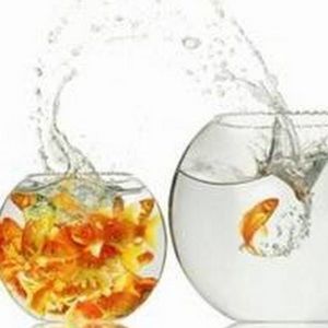 Meet your Posher, Angel